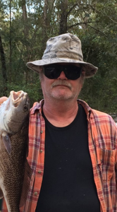 Black drum chase: Florida fishing bliss.